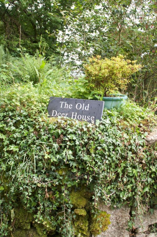 ボドミン The Old Deer House Bed & Breakfast エクステリア 写真